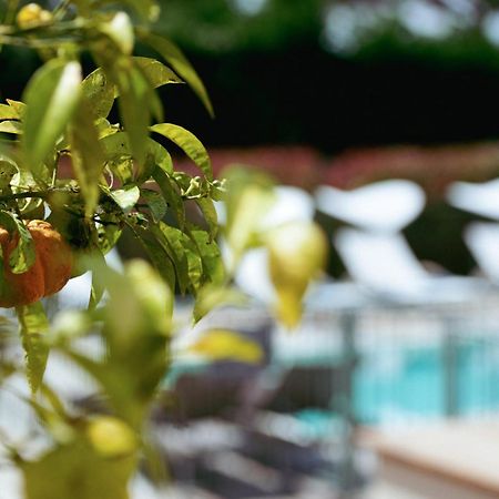 Boutique Hotel Villa Fabulite Antibes Exterior foto