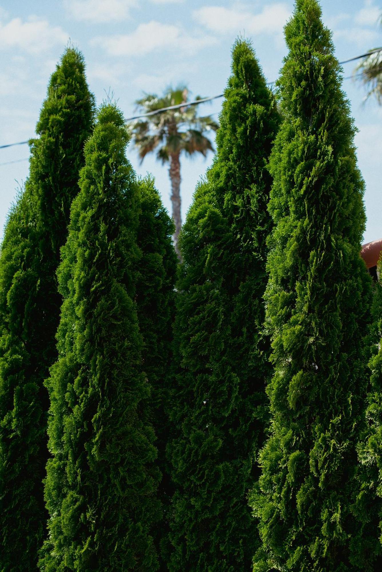 Boutique Hotel Villa Fabulite Antibes Exterior foto