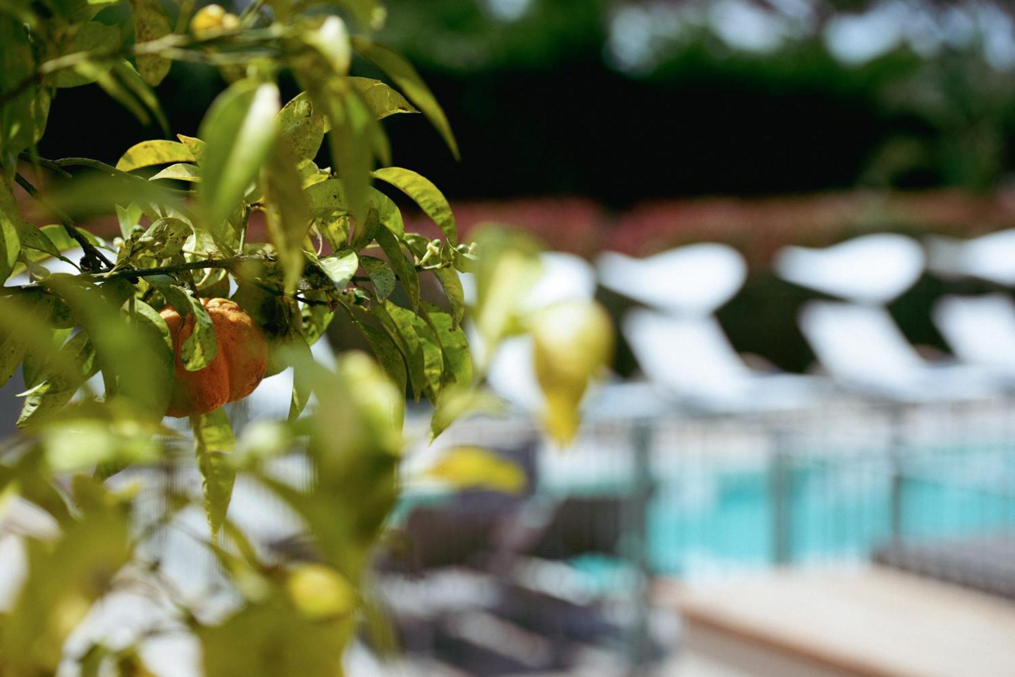 Boutique Hotel Villa Fabulite Antibes Exterior foto